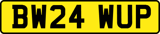 BW24WUP