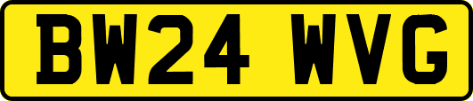 BW24WVG