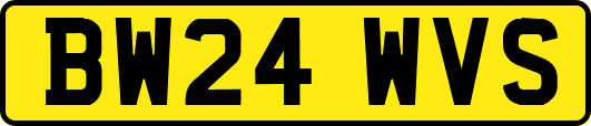 BW24WVS