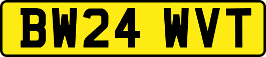 BW24WVT
