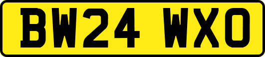 BW24WXO