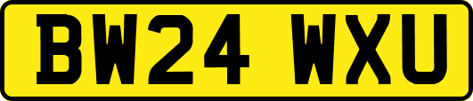 BW24WXU