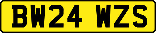 BW24WZS