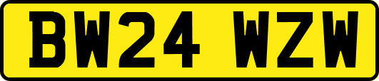 BW24WZW
