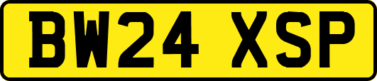 BW24XSP