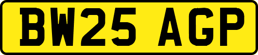 BW25AGP