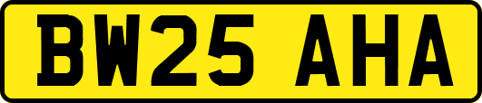 BW25AHA