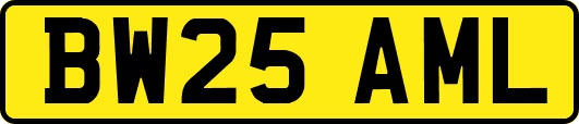 BW25AML