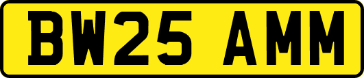 BW25AMM