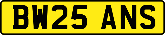 BW25ANS