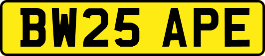 BW25APE