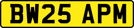 BW25APM