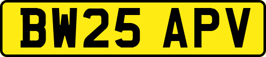 BW25APV