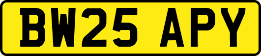 BW25APY