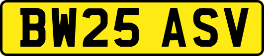 BW25ASV