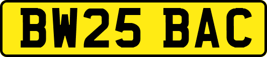 BW25BAC