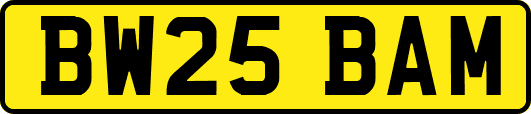 BW25BAM