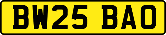 BW25BAO