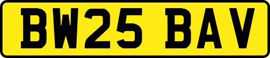 BW25BAV
