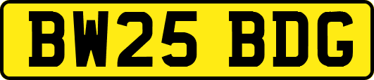 BW25BDG