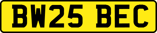 BW25BEC