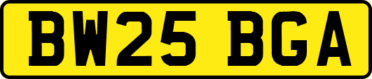 BW25BGA