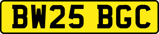 BW25BGC