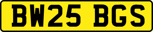 BW25BGS