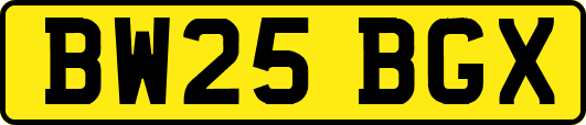 BW25BGX