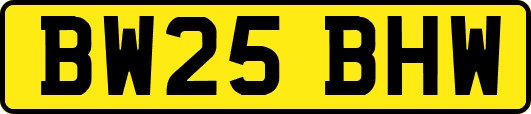 BW25BHW