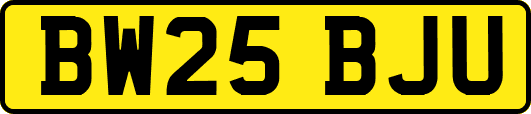 BW25BJU