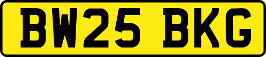 BW25BKG