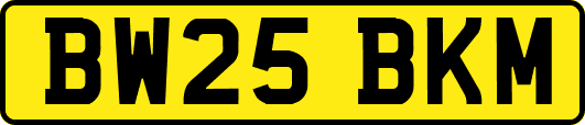 BW25BKM