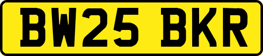 BW25BKR