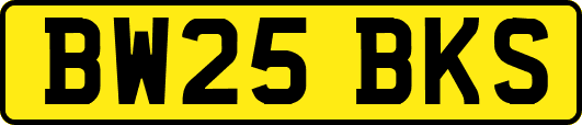 BW25BKS