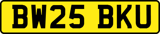 BW25BKU