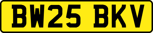 BW25BKV