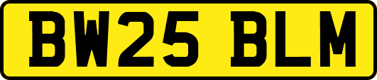 BW25BLM