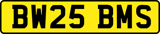 BW25BMS