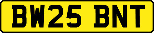 BW25BNT