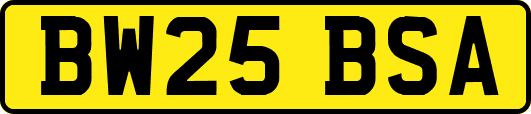 BW25BSA