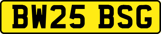BW25BSG