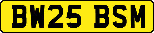 BW25BSM