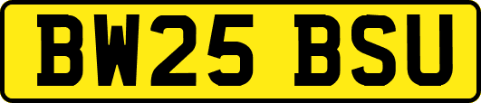 BW25BSU