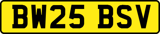 BW25BSV