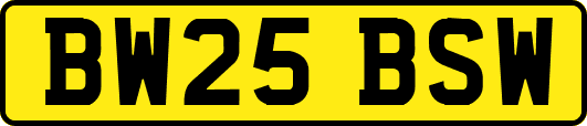 BW25BSW