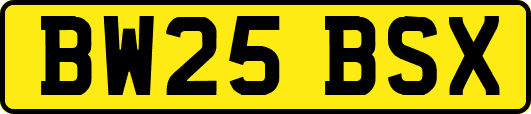 BW25BSX