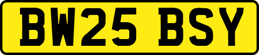 BW25BSY