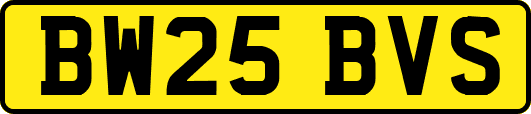 BW25BVS