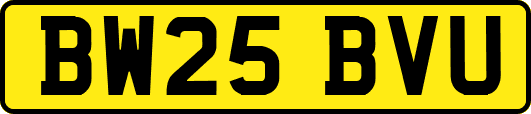 BW25BVU